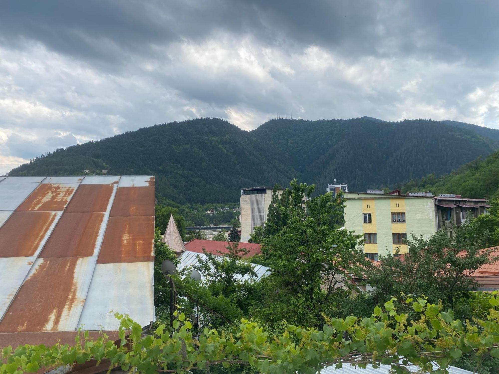 Hillside Guesthouse Borjomi Exterior photo